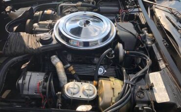 Chevrolet-corvette-pace-car-1978-black-16