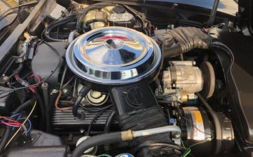 Chevrolet-corvette-pace-car-1978-black-17