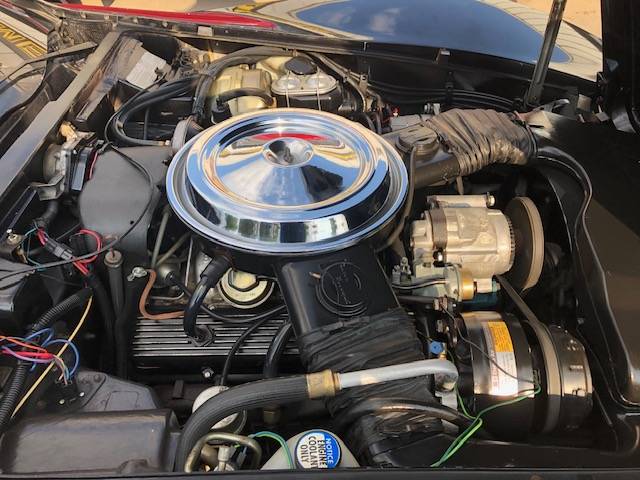 Chevrolet-corvette-pace-car-1978-black-17