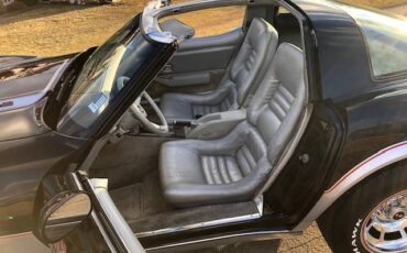 Chevrolet-corvette-pace-car-1978-black-20