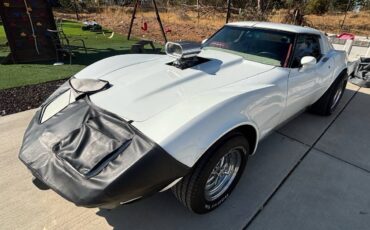Chevrolet-corvette-stingray-1977-white-7