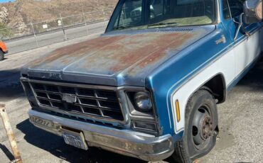 Chevrolet-crew-cab-1-ton-dooley-1979-blue-1