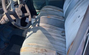 Chevrolet-crew-cab-1-ton-dooley-1979-blue