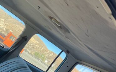 Chevrolet-crew-cab-1-ton-dooley-1979-blue-5