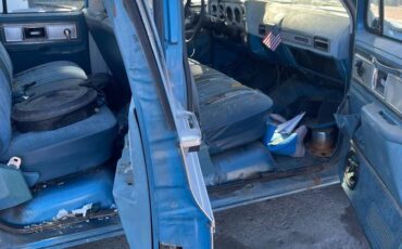 Chevrolet-crew-cab-1-ton-dooley-1979-blue-7