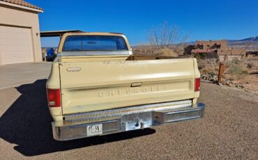 Chevrolet-custom-deluxe-1975-yellow
