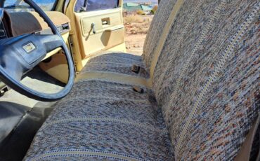 Chevrolet-custom-deluxe-1975-yellow-6