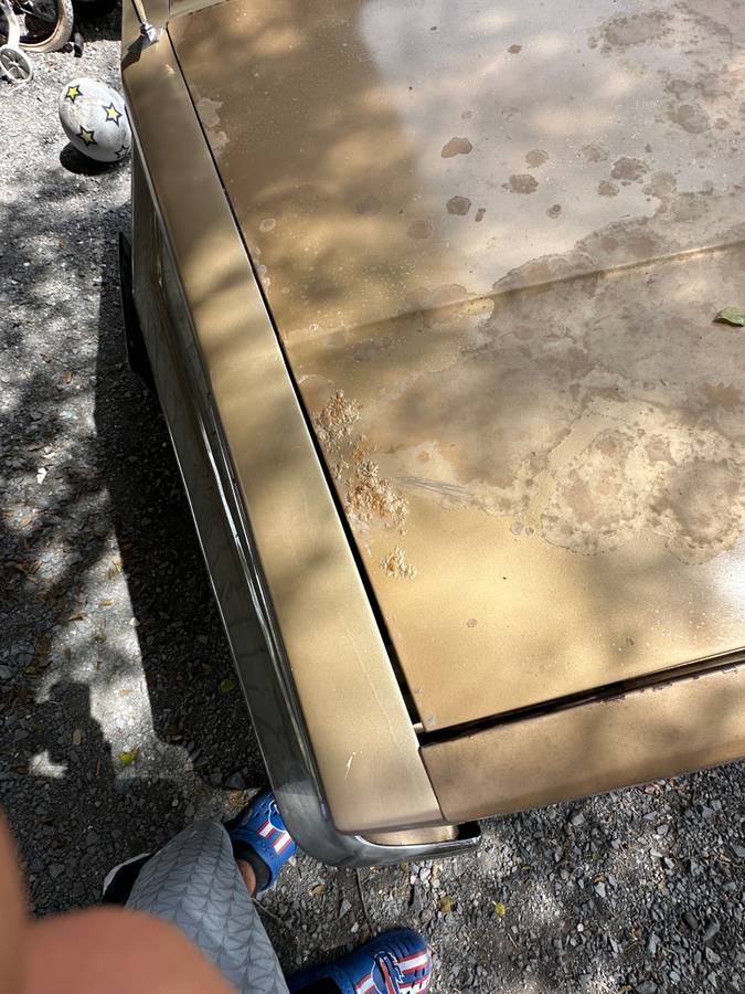 Chevrolet-el-camino-1985-11