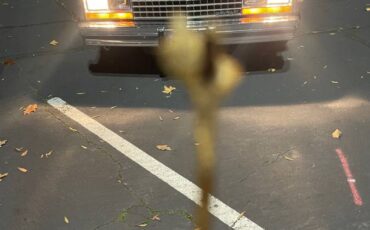 Chevrolet-el-camino-1985-6