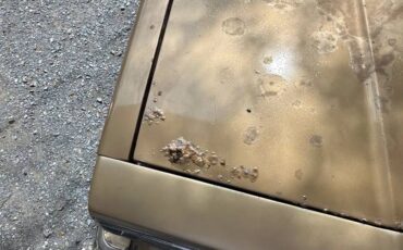 Chevrolet-el-camino-1985-8