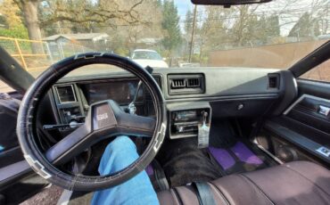 Chevrolet-el-camino-ss-1978-purple-2