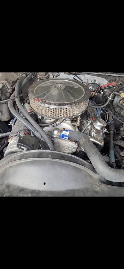 Chevrolet-el-camino-ss-1978-purple-3