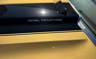 Chevrolet-el-camino-ss-396-1970-custom-14