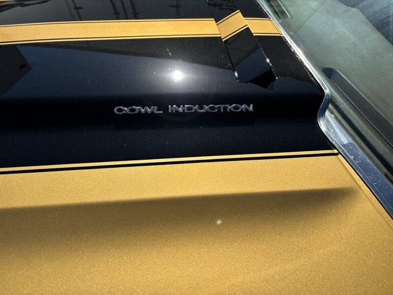 Chevrolet-el-camino-ss-396-1970-custom-14