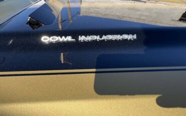 Chevrolet-el-camino-ss-396-1970-custom-17