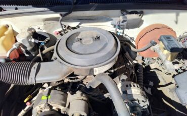 Chevrolet-gmt-400-34-ton-1995-white-10