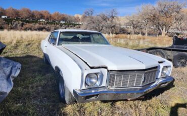 Chevrolet-monte-carlo-1971-white-2
