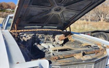 Chevrolet-monte-carlo-1971-white-4