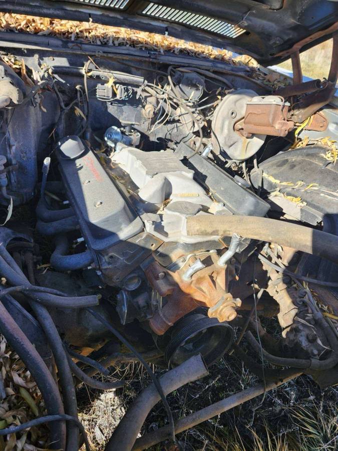 Chevrolet-monte-carlo-1971-white-6