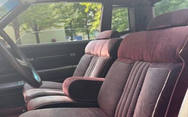 Chevrolet-monte-carlo-ls-1986-orange-14