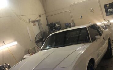 Chevrolet-monte-carlo-ss-1984-white-6