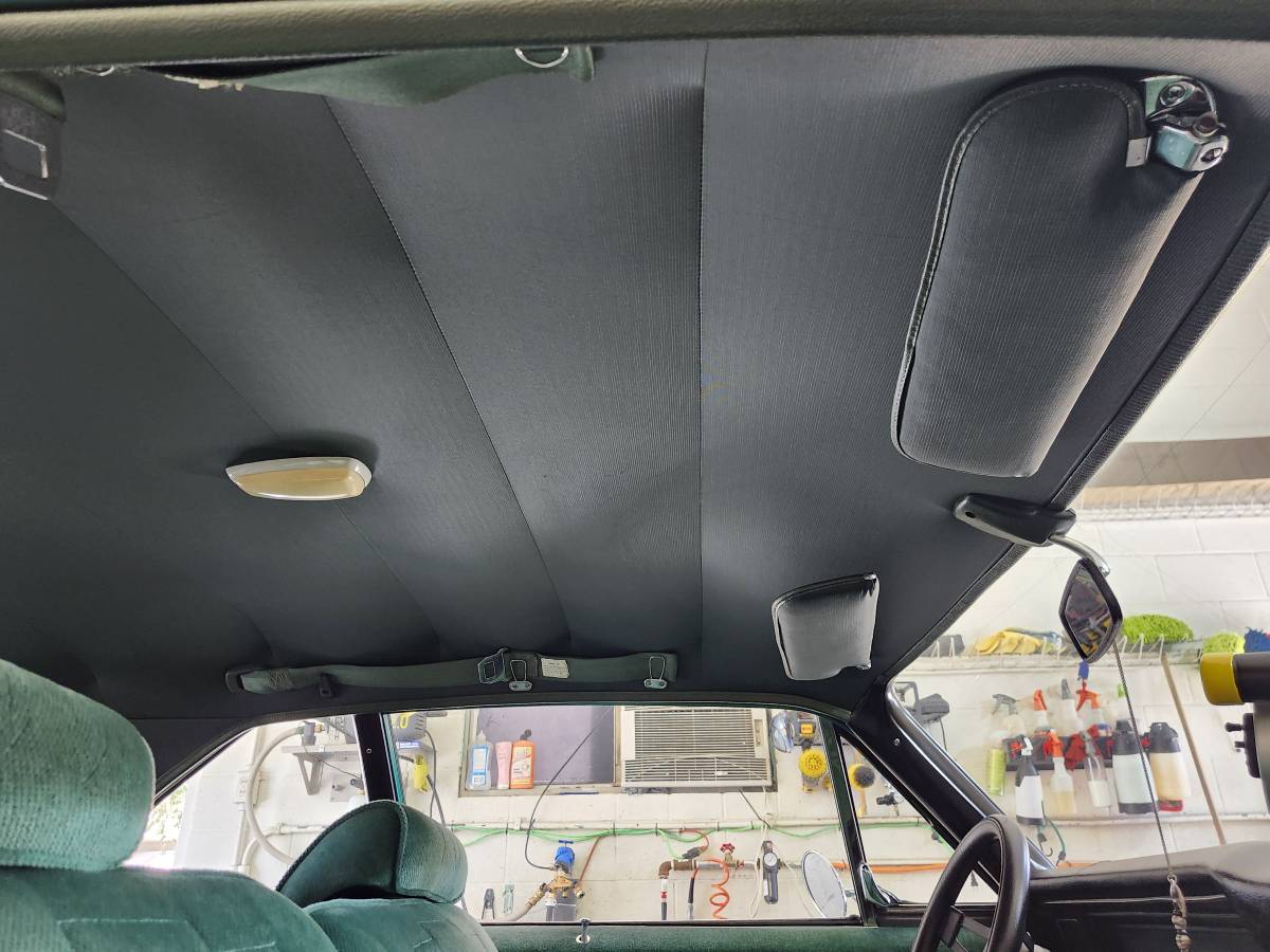 Chevrolet-nova-1970-green-23