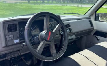 Chevrolet-pickup-1994-white-2