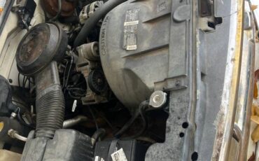 Chevrolet-pickup-1994-white-6