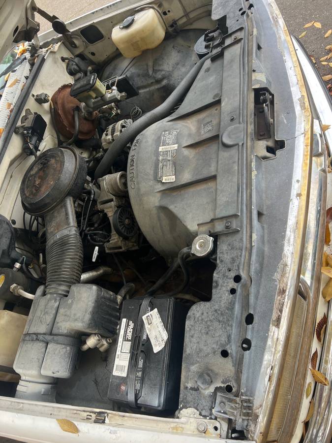 Chevrolet-pickup-1994-white-6