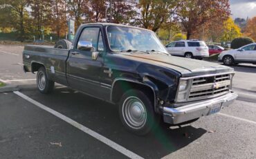 Chevrolet-r10-c10-squarebody-1987-blue-2