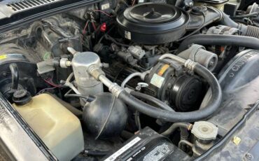 Chevrolet-s-10-pickup-12-ton-nominal-1991-black-11