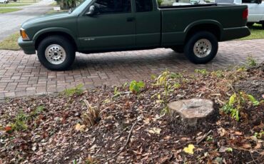 Chevrolet-s-10-pickup-12-ton-nominal-1994-custom-1