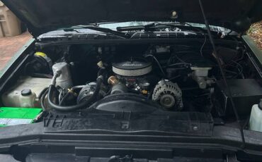 Chevrolet-s-10-pickup-12-ton-nominal-1994-custom-3