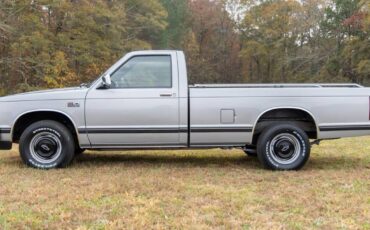 Chevrolet-s-10-pickup-1985-silver-10