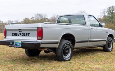 Chevrolet-s-10-pickup-1985-silver-12