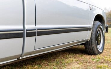 Chevrolet-s-10-pickup-1985-silver-21