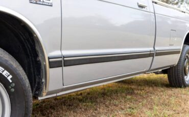 Chevrolet-s-10-pickup-1985-silver-7