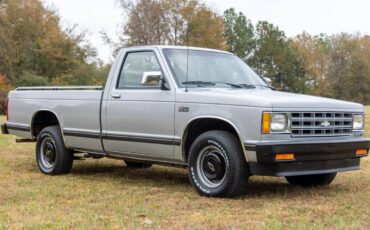 Chevrolet-s-10-pickup-1985-silver-8