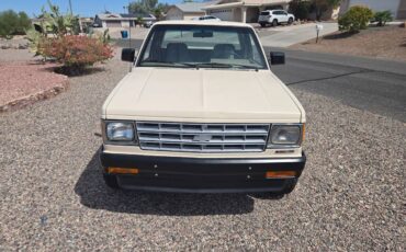 Chevrolet-s-10-pickup-4x4-ext-cab-1988-custom-2