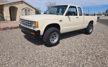 Chevrolet-s-10-pickup-4x4-ext-cab-1988-custom