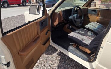 Chevrolet-s-10-pickup-4x4-ext-cab-1988-custom-6