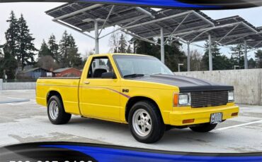 Chevrolet-s-10-s10-built-357-v8-tubbed-weld-wheels-1982-yellow-1