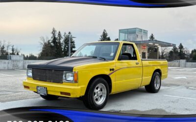 Chevrolet s-10 s10 built 357 v8 tubbed weld wheels 1982