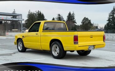 Chevrolet-s-10-s10-built-357-v8-tubbed-weld-wheels-1982-yellow-9