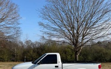 Chevrolet-s10-pickup-1995-1