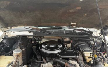 Chevrolet-s10-pickup-1995-15