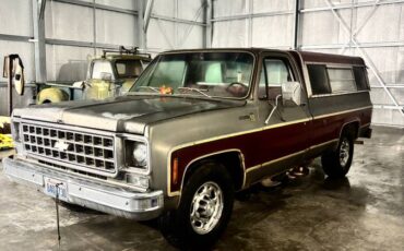 Chevrolet-scottsdale-1977-1