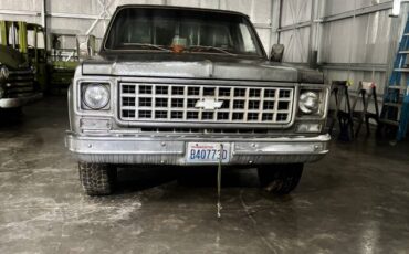 Chevrolet-scottsdale-1977-2