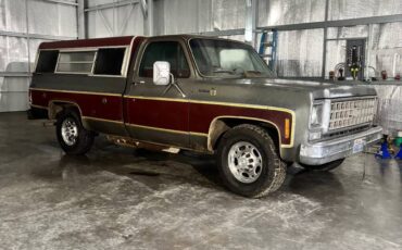 Chevrolet-scottsdale-1977