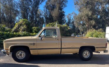 Chevrolet-scottsdale-c10-1982-1